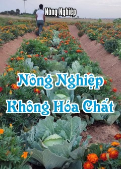 Nông Nghiệp Không Hóa Chất