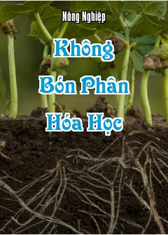 Ảnh Không Bón Phân Hóa Học