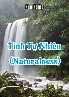 Tính Tự Nhiên (Naturalness)