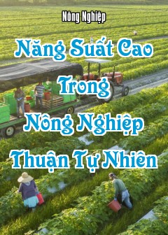 Ảnh Năng Suất Cao Trong Nông Nghiệp Thuận Tự Nhiên