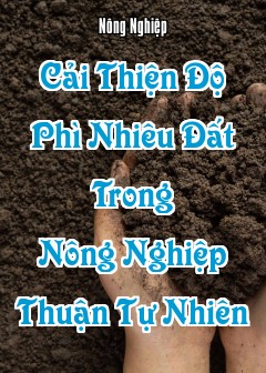 Ảnh Cải Thiện Độ Phì Nhiêu Đất Trong Nông Nghiệp Thuận Tự Nhiên