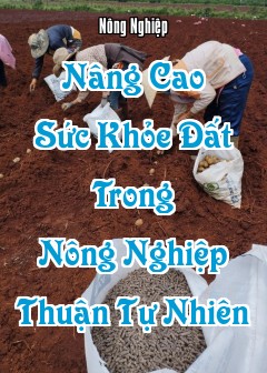 Nâng Cao Sức Khỏe Đất Trong Nông Nghiệp Thuận Tự Nhiên