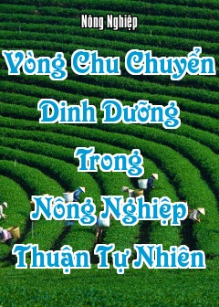 Vòng Chu Chuyển Dinh Dưỡng Trong Nông Nghiệp Thuận Tự Nhiên