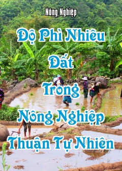Ảnh Độ Phì Nhiêu Đất Trong Nông Nghiệp Thuận Tự Nhiên