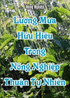 Ảnh Lượng Mưa Hữu Hiệu Trong Nông Nghiệp Thuận Tự Nhiên