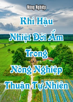 Ảnh Khí Hậu Nhiệt Đới Ẩm Trong Nông Nghiệp Thuận Tự Nhiên