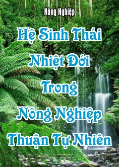 Ảnh Hệ Sinh Thái Nhiệt Đới Trong Nông Nghiệp Thuận Tự Nhiên
