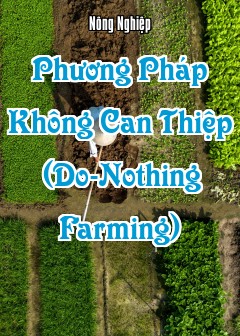 Ảnh Phương Pháp Không Can Thiệp (Do-Nothing Farming)