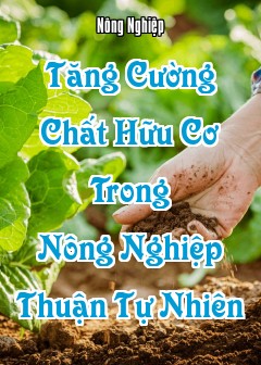 Tăng Cường Chất Hữu Cơ Trong Nông Nghiệp Thuận Tự Nhiên