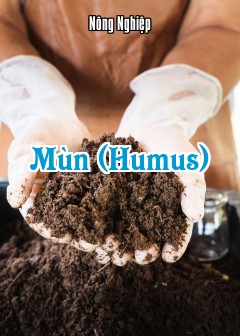 Mùn (Humus)