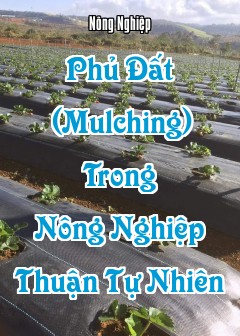 Phủ Đất (Mulching) Trong Nông Nghiệp Thuận Tự Nhiên