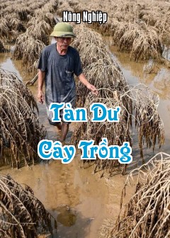 Tàn Dư Cây Trồng