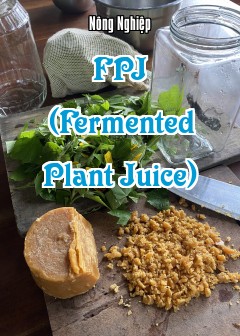 Fpj (Fermented Plant Juice)