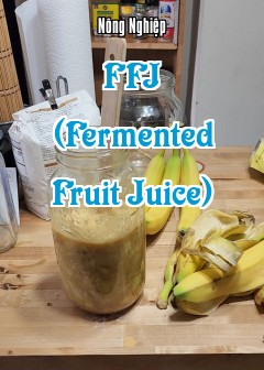 Ffj (Fermented Fruit Juice)