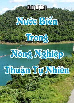 Ảnh Nước Biển Trong Nông Nghiệp Thuận Tự Nhiên