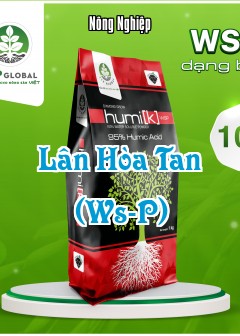 Ảnh Lân Hòa Tan (Ws-P)