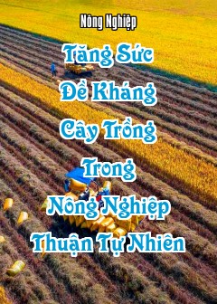 Tăng Sức Đề Kháng Cây Trồng Trong Nông Nghiệp Thuận Tự Nhiên