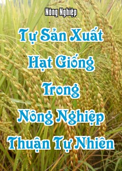 Ảnh Tự Sản Xuất Hạt Giống Trong Nông Nghiệp Thuận Tự Nhiên