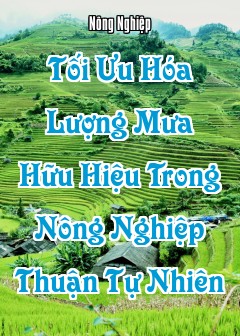 Tối Ưu Hóa Lượng Mưa Hữu Hiệu Trong Nông Nghiệp Thuận Tự Nhiên