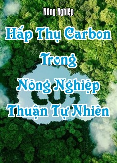 Hấp Thụ Carbon Trong Nông Nghiệp Thuận Tự Nhiên