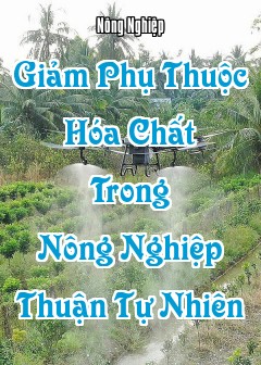 Ảnh Giảm Phụ Thuộc Hóa Chất Trong Nông Nghiệp Thuận Tự Nhiên