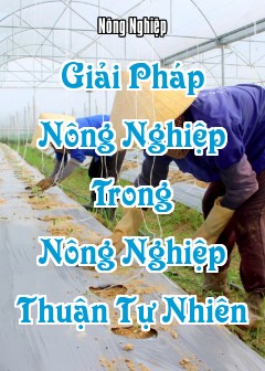 Ảnh Giải Pháp Nông Nghiệp Trong Nông Nghiệp Thuận Tự Nhiên
