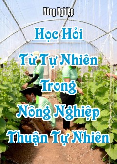 Học Hỏi Từ Tự Nhiên Trong Nông Nghiệp Thuận Tự Nhiên