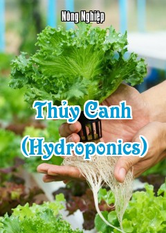 Thủy Canh (Hydroponics)