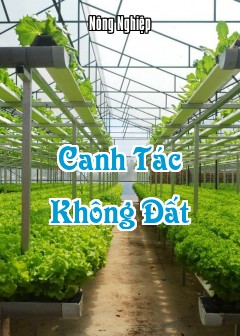 Canh Tác Không Đất