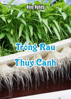 Trồng Rau Thủy Canh