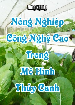 Ảnh Nông Nghiệp Công Nghệ Cao Trong Mô Hình Thủy Canh
