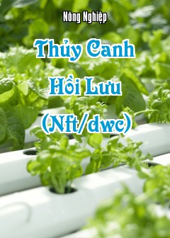 Ảnh Thủy Canh Hồi Lưu (Nft/dwc)