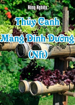 Ảnh Thủy Canh Màng Dinh Dưỡng (Nft)