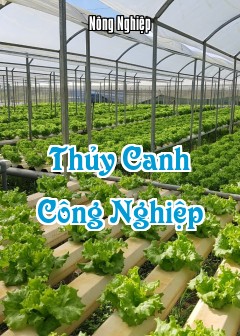 Ảnh Thủy Canh Công Nghiệp