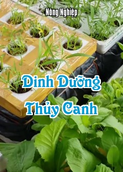 Ảnh Dinh Dưỡng Thủy Canh