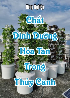 Ảnh Chất Dinh Dưỡng Hòa Tan Trong Thủy Canh