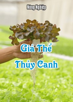 Ảnh Giá Thể Thủy Canh