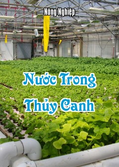 Ảnh Nước Trong Thủy Canh