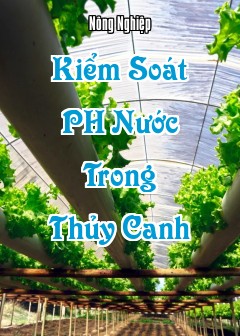 Ảnh Kiểm Soát Ph Nước Trong Thủy Canh