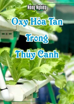 Ảnh Oxy Hòa Tan Trong Thủy Canh