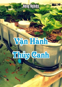 Ảnh Vận Hành Thủy Canh