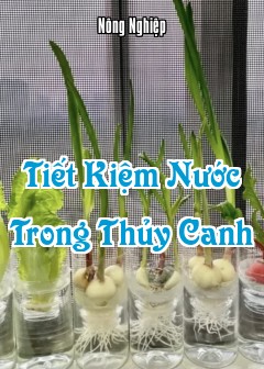 Ảnh Tiết Kiệm Nước Trong Thủy Canh