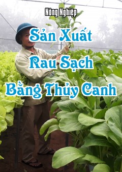 Ảnh Sản Xuất Rau Sạch Bằng Thủy Canh