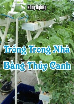 Ảnh Trồng Trong Nhà Bằng Thủy Canh