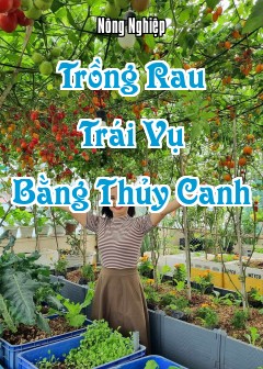 Ảnh Trồng Rau Trái Vụ Bằng Thủy Canh