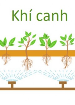 Ảnh Khí Canh Là Gì?