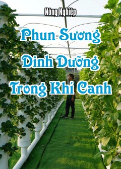 Phun Sương Dinh Dưỡng Trong Khí Canh