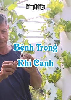 Ảnh Bệnh Trong Khí Canh