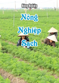Nông Nghiệp Sạch