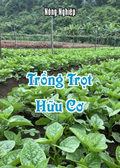 Trồng Trọt Hữu Cơ